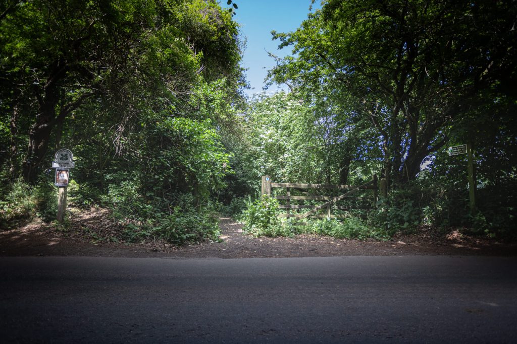 Entrance to secure dog exercise field - Westy & Worzel Salcombe Road, Sidmouth, East Devon.jpg