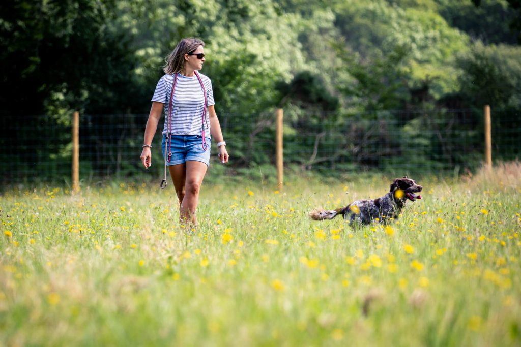 Owner with Spaniel and labrador at secure dog exercise field - Westy & Worzel Salcombe Road, Sidmouth, East Devon
