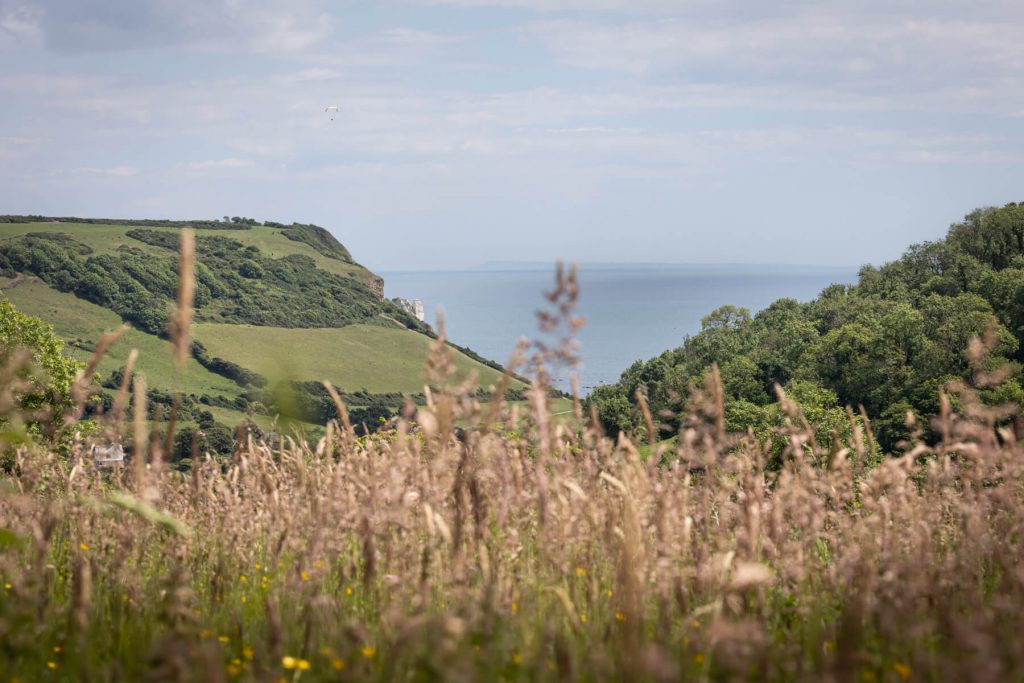 View to Branscombe Beach from wild flower meadow at organic farm Branscombe - Westy & Worzel Salcombe Regis, East Devon