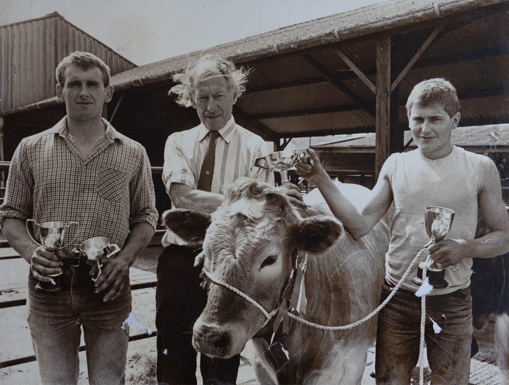 Young Westy & Worzel showing off prize winning cattle in Devon